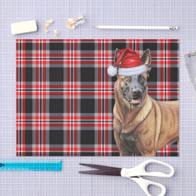 Papel De Seda Xadrez Vermelha Festiva e Natal Malinois Belga (Arte )