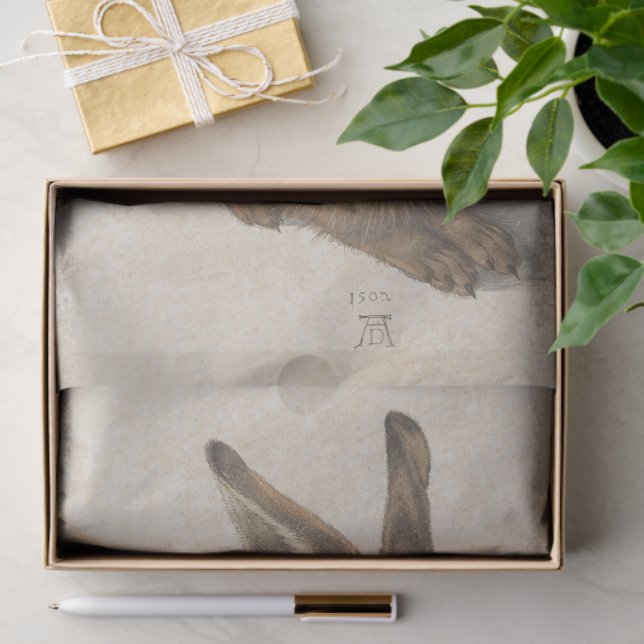 Papel De Seda Young Hare by Albrecht Durer, Renaissance Fine Art (Presente)