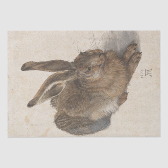 Papel De Seda Young Hare por Albrecht Durer (Frente )