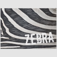 Zebra fur Design preto e branco para Amante de os 