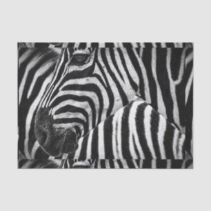 Papel De Seda Zebra preto e branco Funky