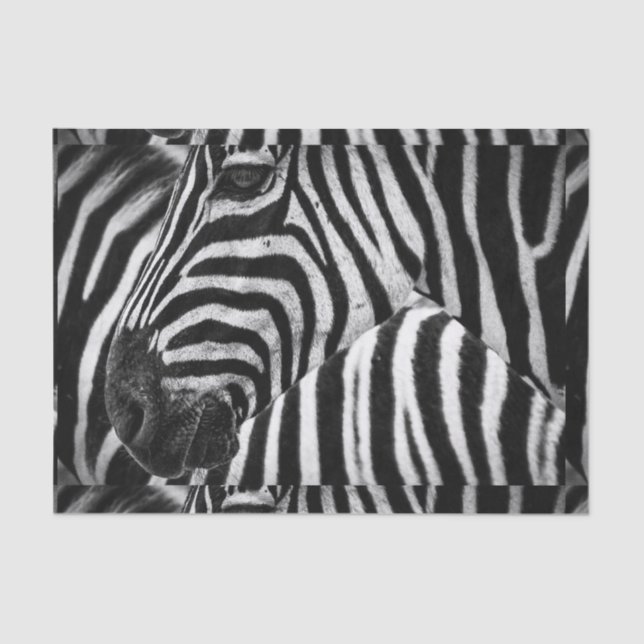 Papel De Seda Zebra preto e branco Funky (Frente )