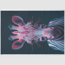 Zebra rosa brilhante de outra dissociação mundial