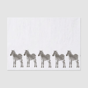 Papel De Seda Zebras Brancas Chic Black