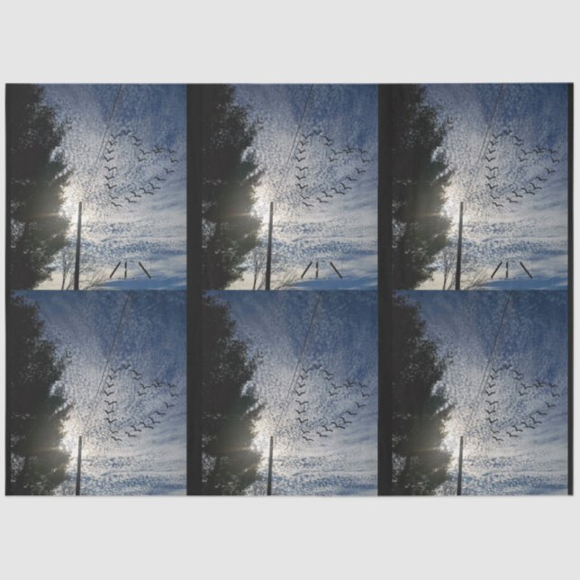 PAPEL DE SEDA ZEN (Frente )