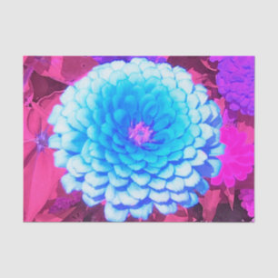 Papel De Seda Zinnia Azul bonito no Jardim de Verão Roxo