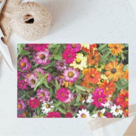 Papel De Seda Zinnia Flower Garden Floral