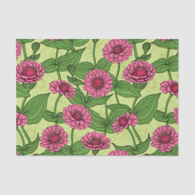 Papel De Seda Zinnias cor-de-rosa em verde claro (Frente )