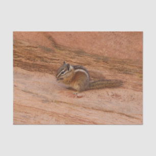 Papel De Seda Zion Chipmunk em Rochas Vermelhas