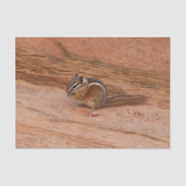 Papel De Seda Zion Chipmunk em Rochas Vermelhas (Frente )