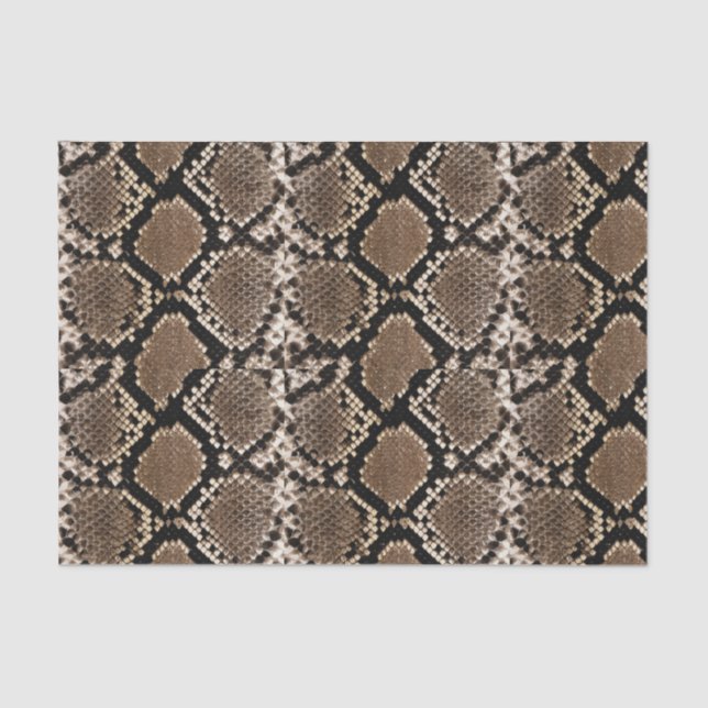 Papel de Tecido Boa Constrictor Snakeskin (Frente )
