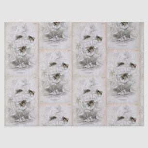 Papel de Tecido Botânico da Abelha