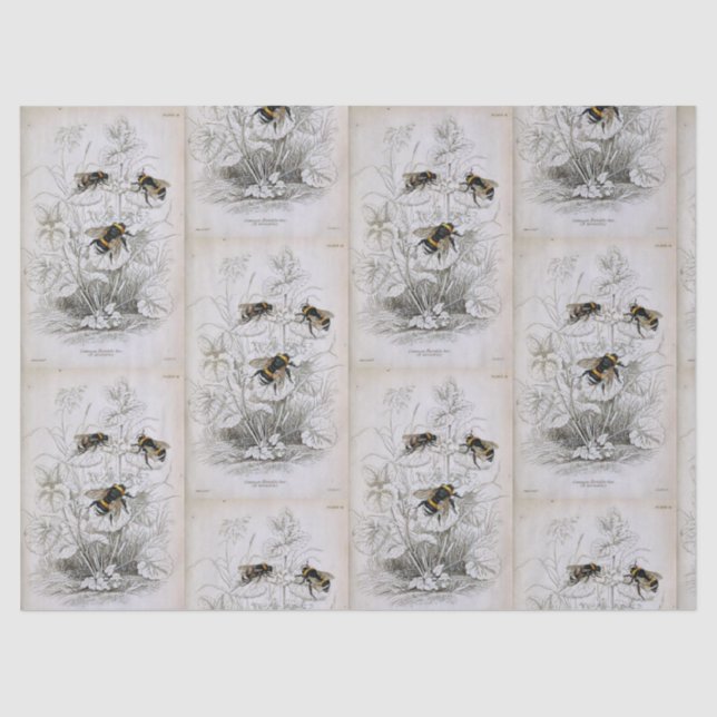 Papel de Tecido Botânico da Abelha (Frente )