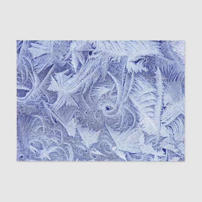 Papel de tecido de 10 lb, personalizado e congelad (Frente )