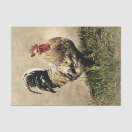 Papel de Tecido de Decoupage de fazenda Rooster