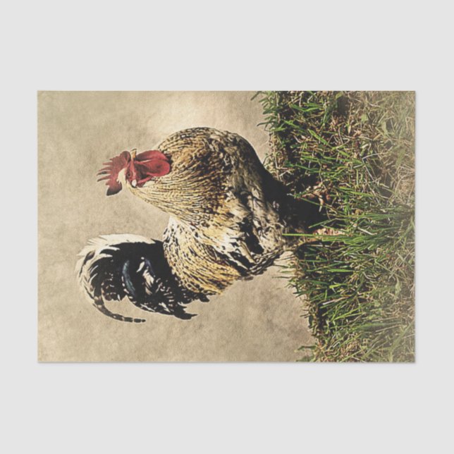 Papel de Tecido de Decoupage de fazenda Rooster (Frente )