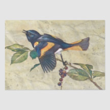 Papel de Tecido de Decoupage de Pássaro Redstart A