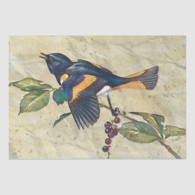 Papel de Tecido de Decoupage de Pássaro Redstart A (Frente )