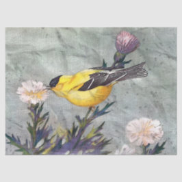 Papel de Tecido de Decoupage de Pássaros Goldfinch