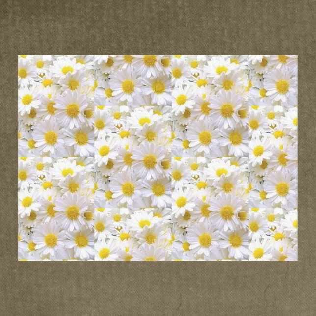 Papel de Tecido de Decoupage do Daisies (Criador carregado)