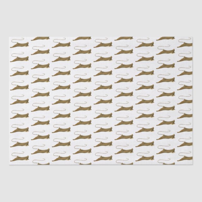 Papel de Tecido de Desenho de Vintage Stingray (Frente )