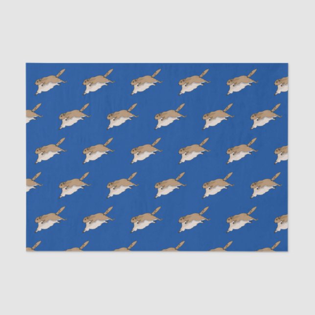 Papel de Tecido de Esquilo Voador (Frente )