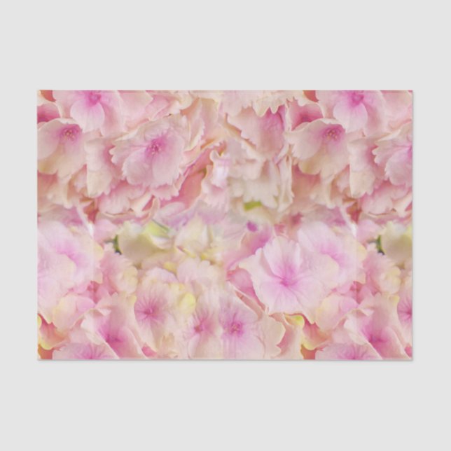 Papel de Tecido de Hydrangeas Rosa Pastel (Frente )