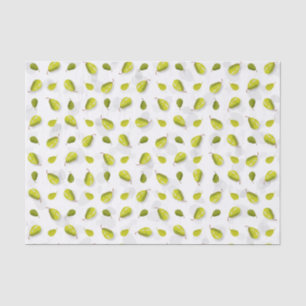 Papel De Tecido De Peça