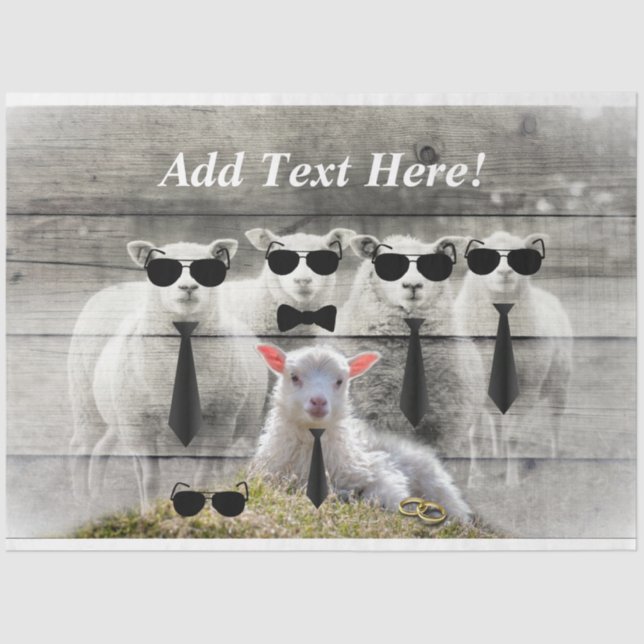 Papel de Tecido do Bando-Bebê do Bando-Bovino (Frente )