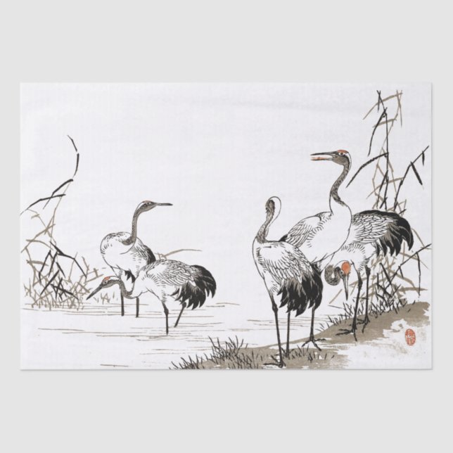 Papel de Tecido para Aves de Caça Japonesas (Frente )