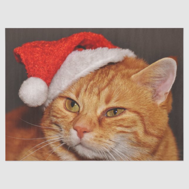 Papel de tecido para gatos natalinos (Frente )