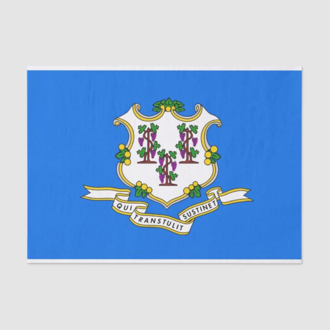 Papel de tecido Patriótico com bandeira de Connect (Frente )