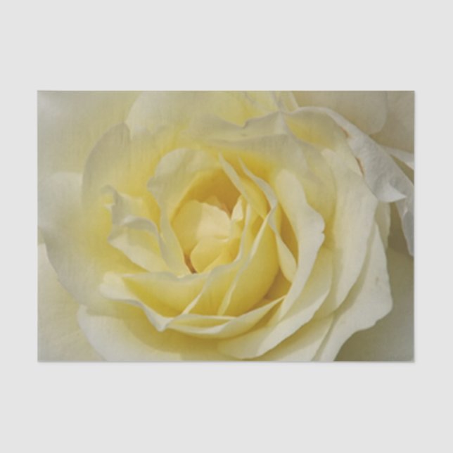 Papel de tecido rosa amarelo pálido (Frente )