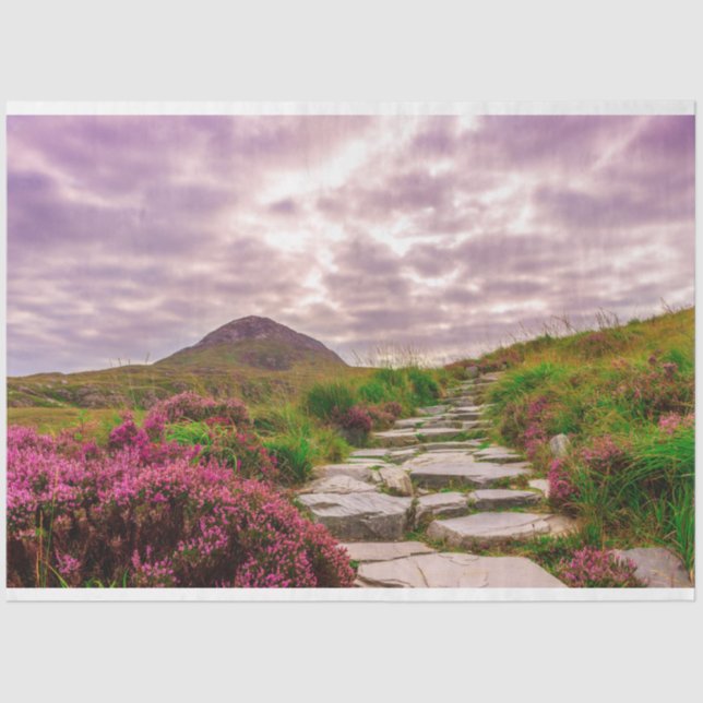 Papel de tecidos cênico na Irlanda (Frente )