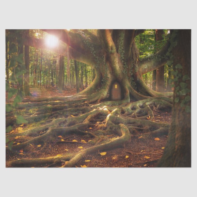 papel de tecidos da elfin Treehouse (Frente )