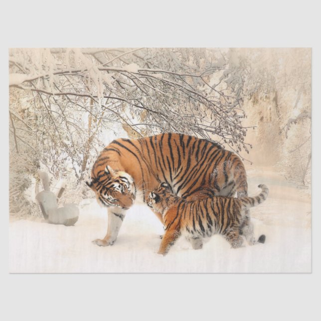 papel de tecidos de tigre e de bebês (Frente )