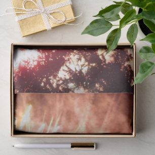 Papel de tecidos Fireworks 12