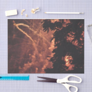 Papel de tecidos Fireworks 20