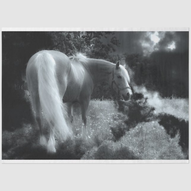 Papel de tecidos noturnos místicos (Frente )