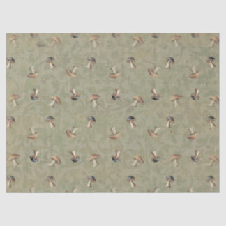 Papel de Tecidos Terrenos