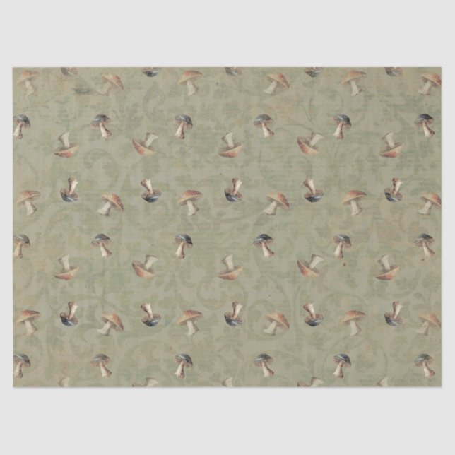 Papel de Tecidos Terrenos (Frente )