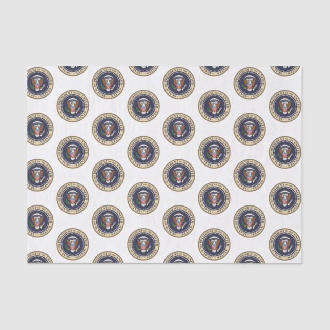 Papel Decortivo Sobre Tecidos Presidente (Frente )