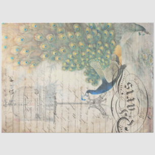 Papel Decoupage de Ephemera Peacock Direita