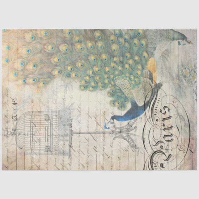 Papel Decoupage de Ephemera Peacock Direita (Frente )