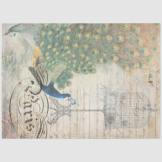 Papel Decoupage de Ephemera Peacock Esquerdo