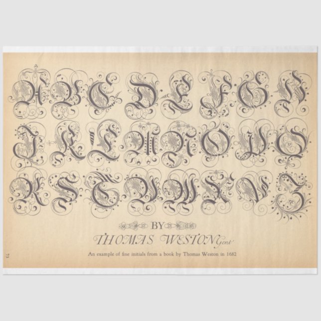 Papel Decoupage do Rollerball (Frente )