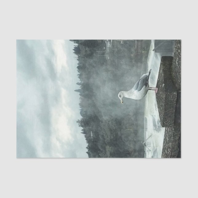 Papel Decoupage Moody Seagull (Frente )