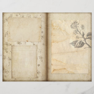 Papel do álbum de recortes do Diário do jardim