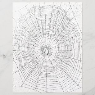 Papel do artesanato de Origami, Spiderweb,