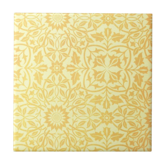 Papel do teto do lugar de William Morris St James (Frente)